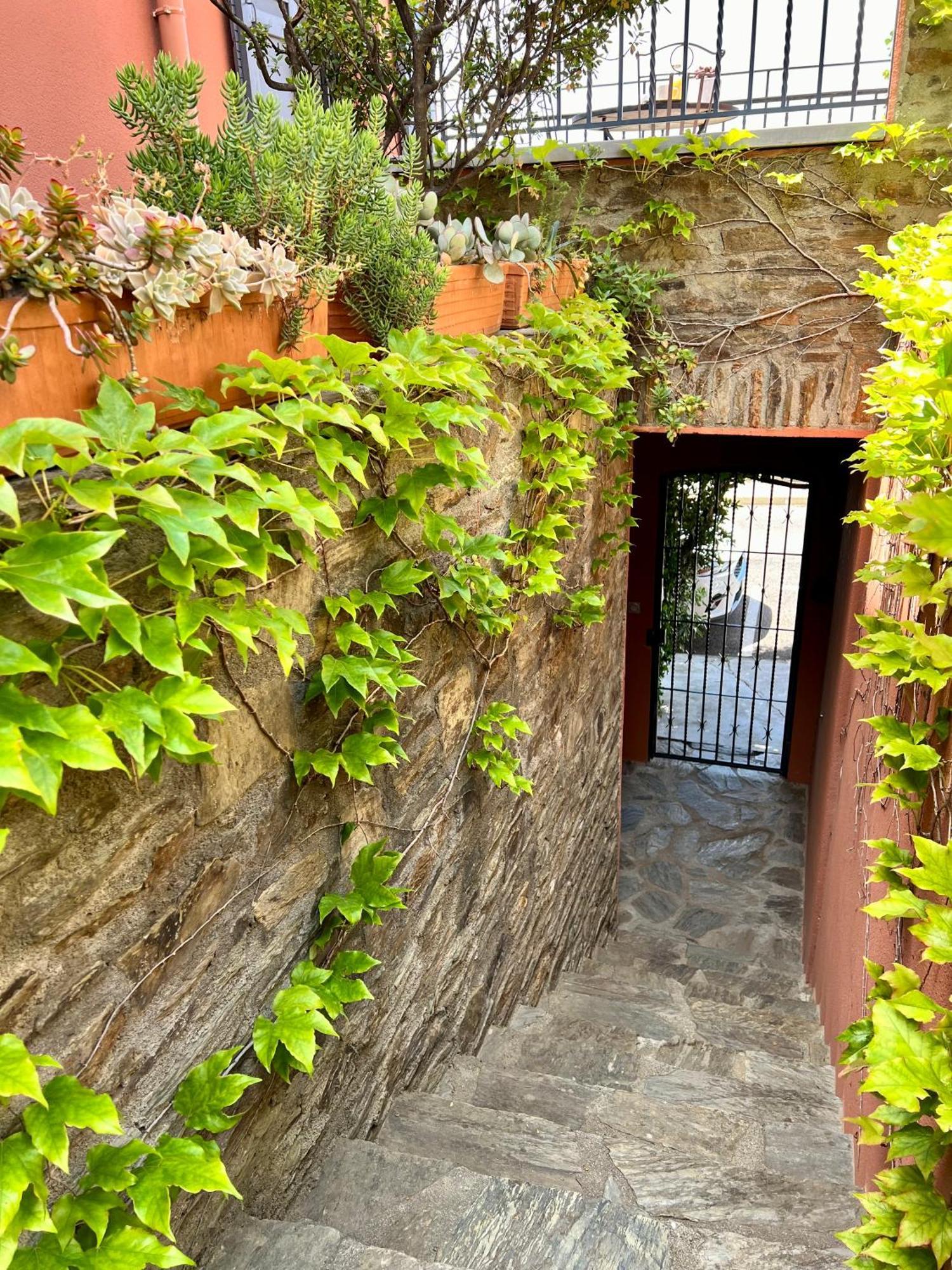 Studio Canta la Mar - Vue exceptionnelle Collioure Extérieur photo