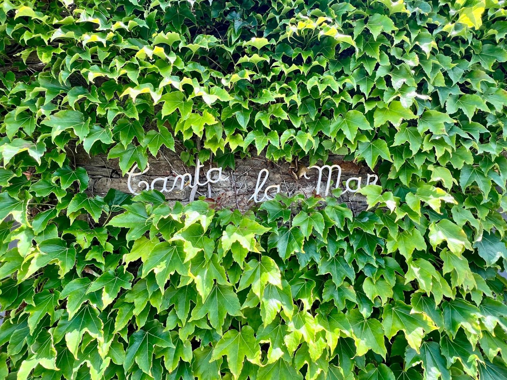 Studio Canta la Mar - Vue exceptionnelle Collioure Extérieur photo